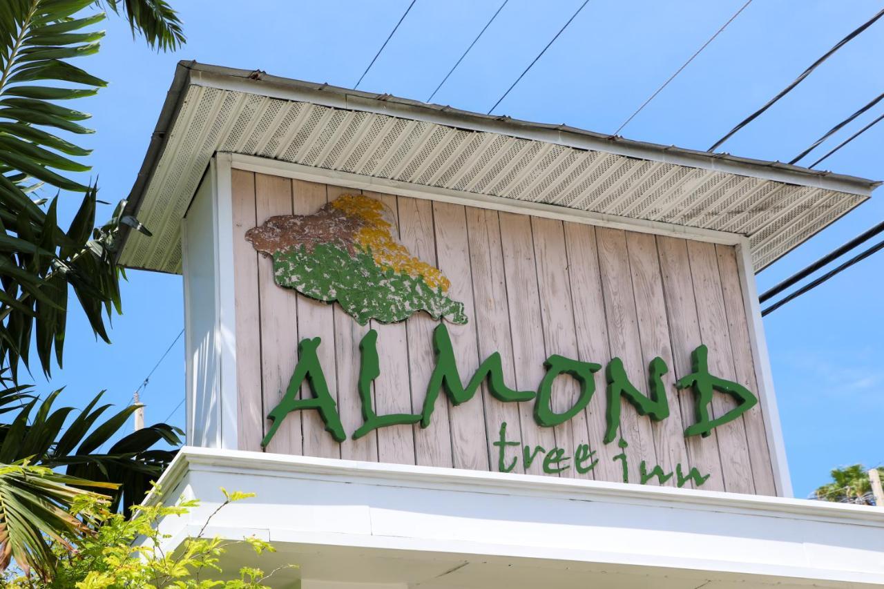 Almond Tree Inn - Adults Only Key West Dış mekan fotoğraf
